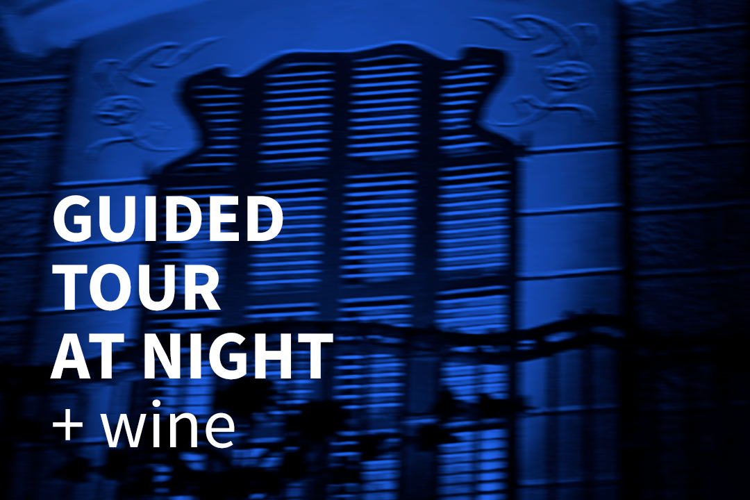 GUIDED TOUR AT NIGHT